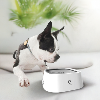 Dog Drinking Water Bowl