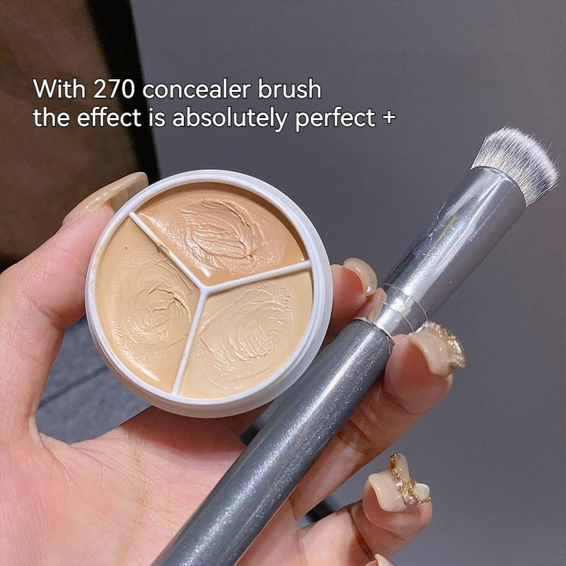 Concealer Palette