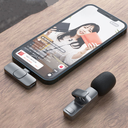 Wireless Microphone